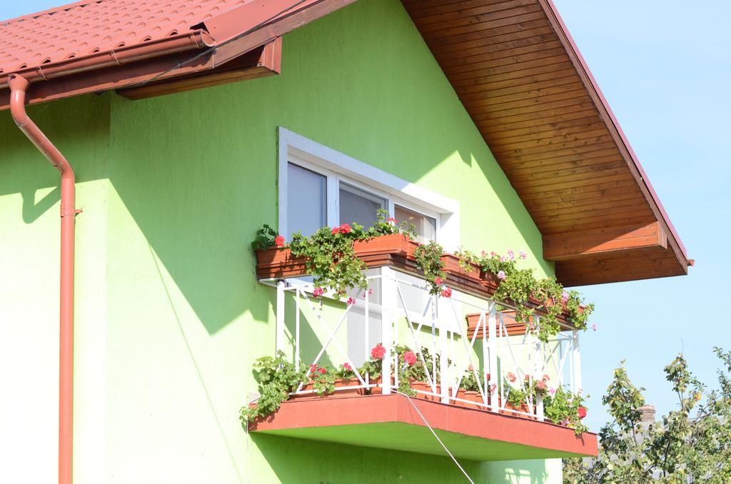 Hotel Casa Nelu Pescaru Mahmudia Exteriér fotografie